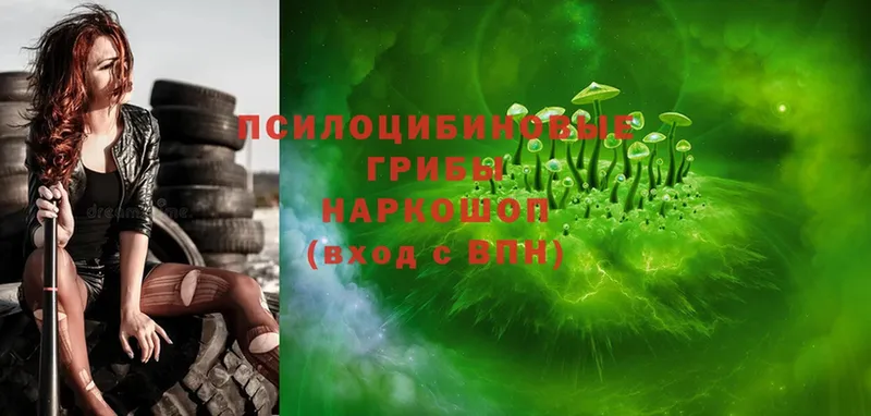 Галлюциногенные грибы Psilocybe  MEGA ONION  Курчатов 